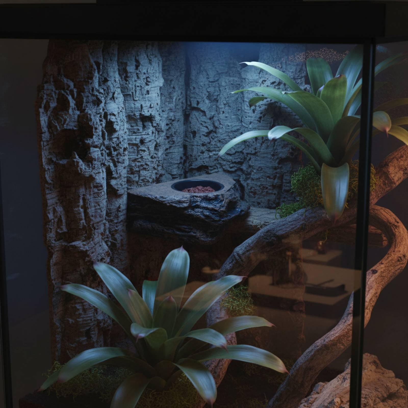 Water Dish Reptile - Gecko Food and Water Shelf Adjustable