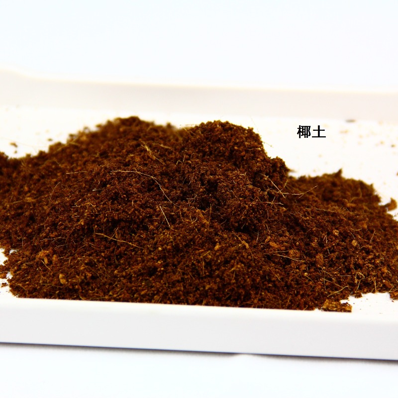 Coconut Soil Brick Reptile Sub - Substrate Coconut Fiber 评论和价格