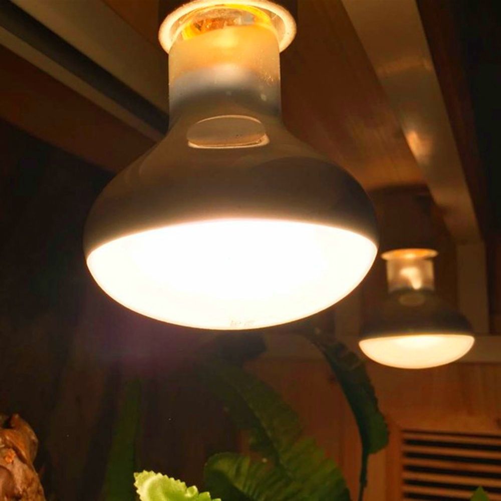 Lizard Heater Temperature Cont - Basking Bulb Halogen 评论和价格