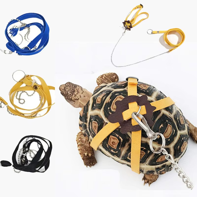Turtle Traction Belt Control R - Water Dish Reptile 评论和价格
