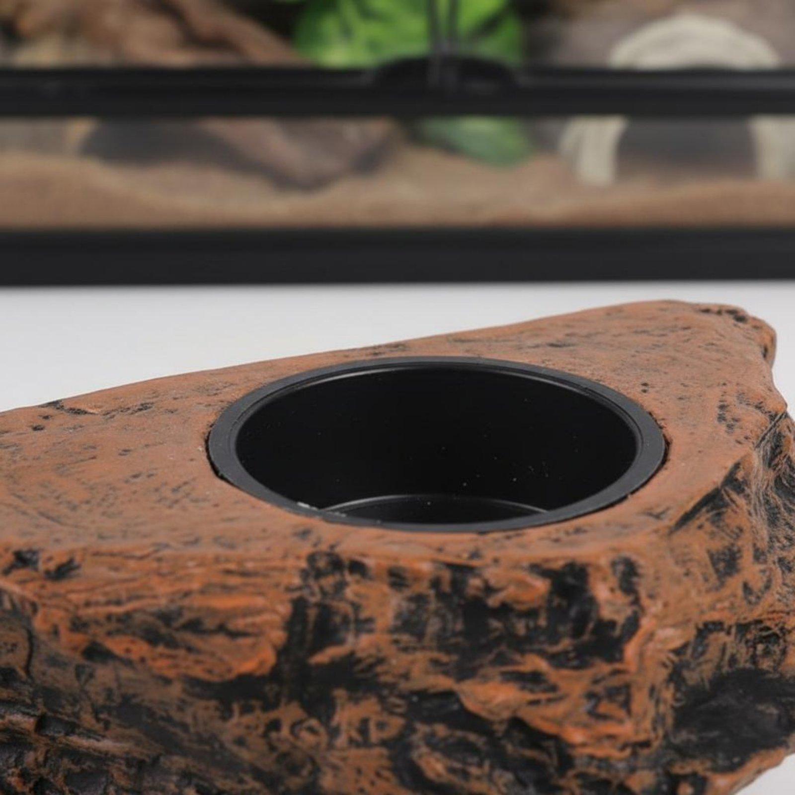 Gecko Food and Water Shelf Adj - Water Dish Reptile 评论和价格