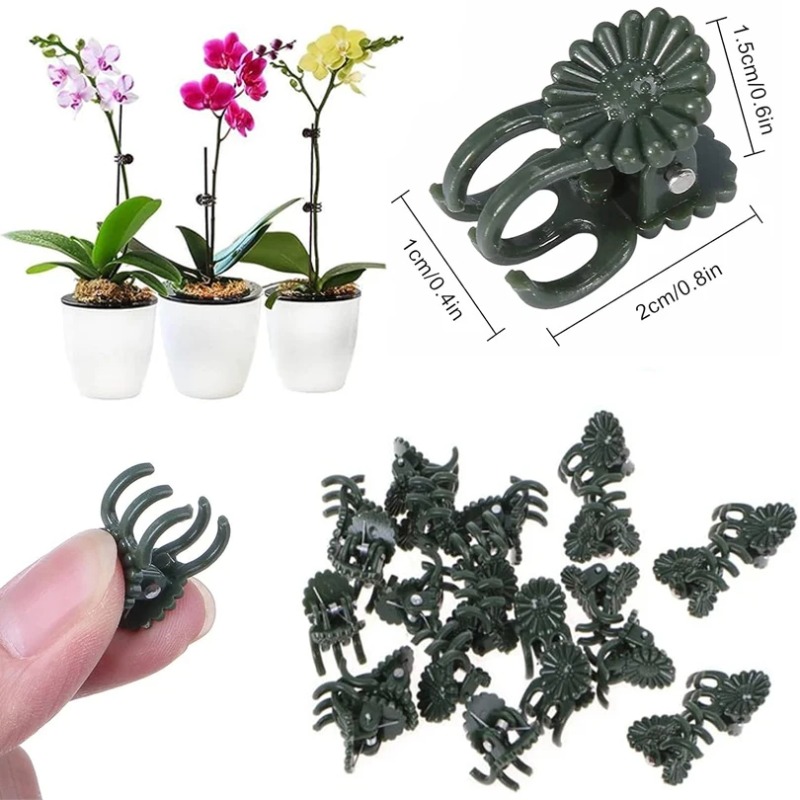 50PCS 5-Claw Dark Green Plant  - Vine Climbing Plastic 评论和价格