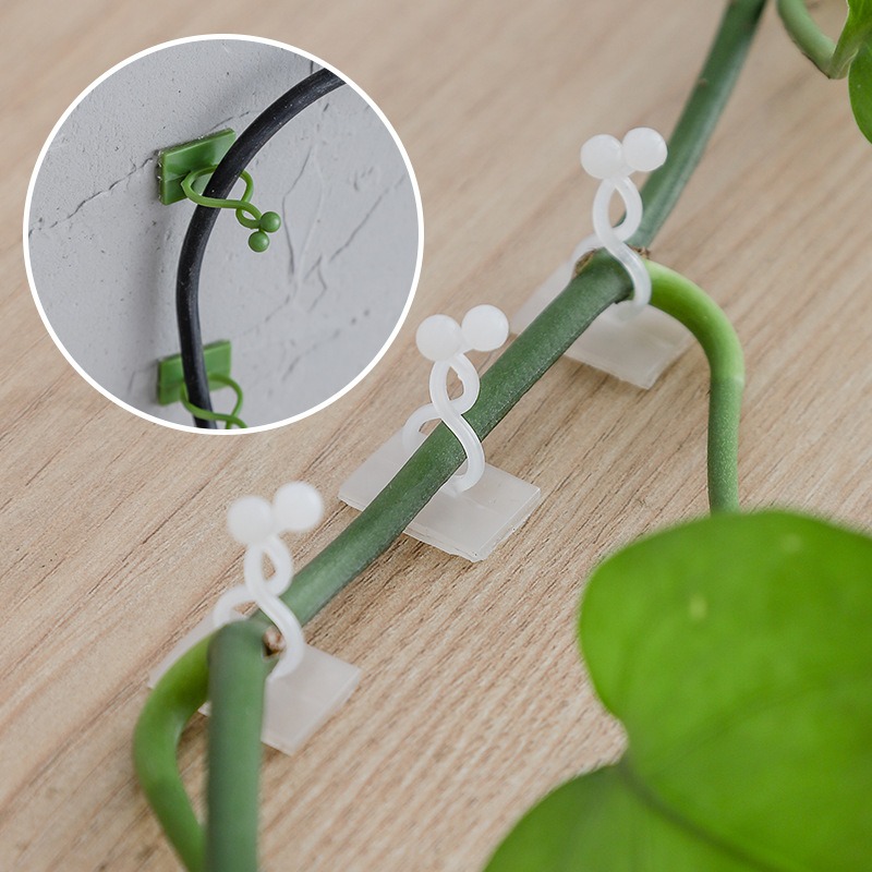 10Pcs Plant Wall Fixing Hooks  - Vine Climbing Plastic 评论和价格