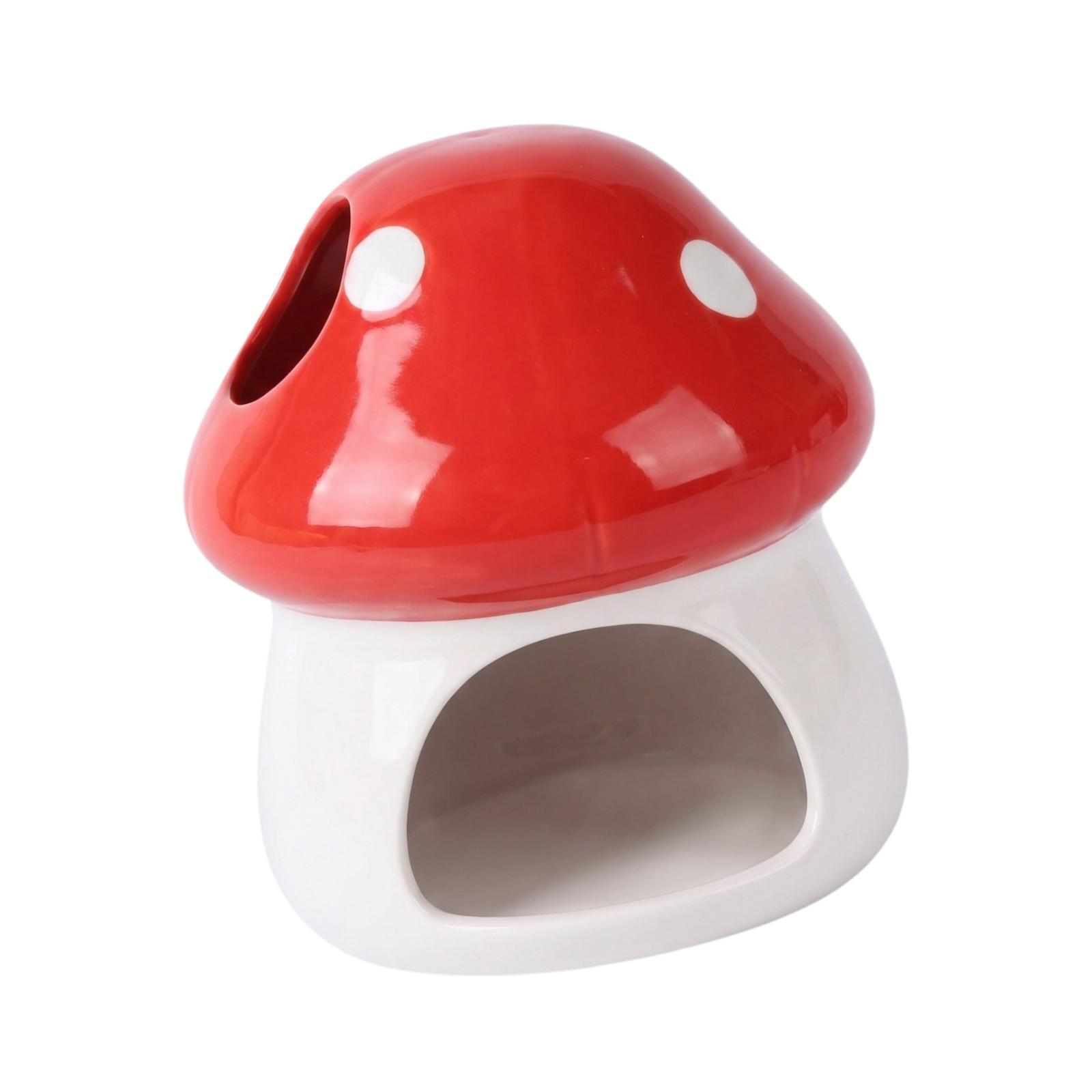 Ceramic Hamster House Cave Hab - Hide Cave Ceramic 评论和价格
