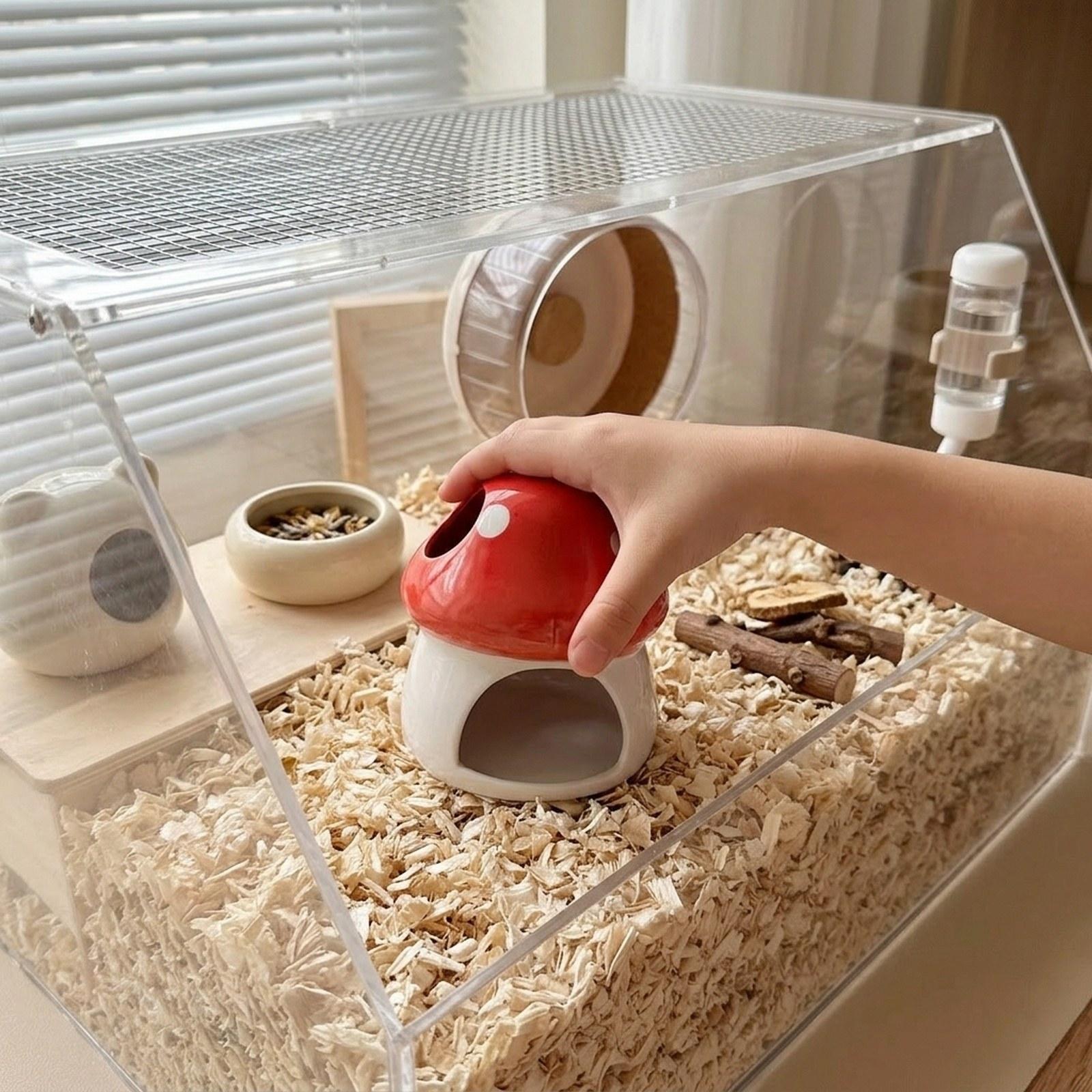 Ceramic Hamster House Cave Hab - Hide Cave Ceramic 评论和价格