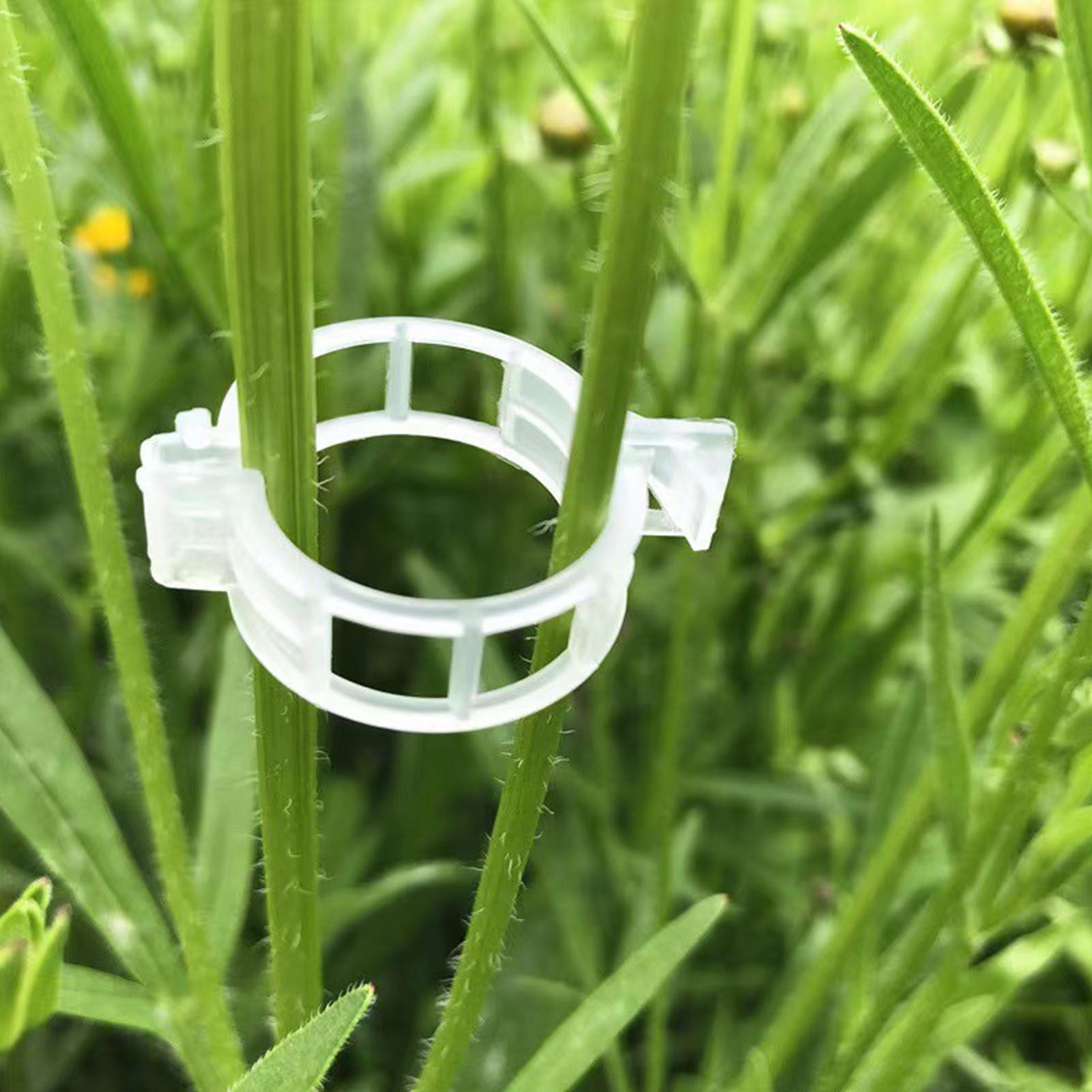 Secured Plastic Plant Clip for - Vine Climbing Plastic 评论和价格